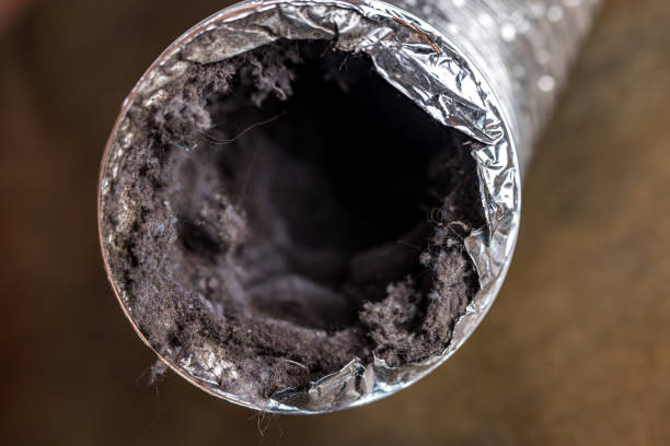 Best Emergency Air Duct Cleaning  in West Terre Haute, IN